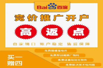 竞价排名中的数据分析和优化案例